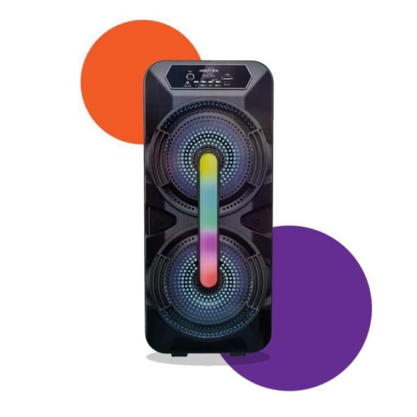 Greatnice 6.5"×2 Hifi Sound Wireless Speaker/FM Radio GTS-1621