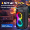 JVC Party Speaker Model Number XS-N2225PB